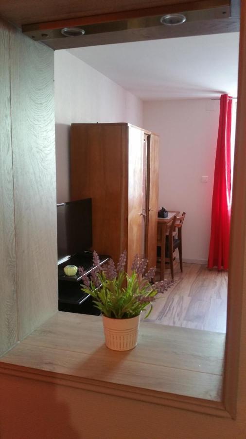 Apartamento La Roseraie Épinal Exterior foto